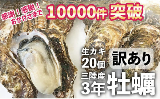 ふるさと納税 兵庫県 相生市 殻付き生牡蠣 2kg,むき身 生牡蠣500g - 牡蠣