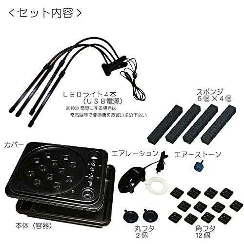 LED付き水畑 4
