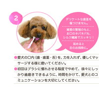 ふわふわシルク歯ブラシ 3