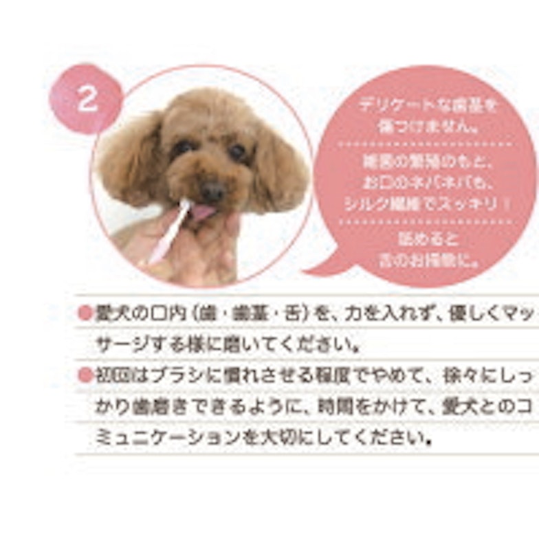 ふわふわシルク歯ブラシ 3
