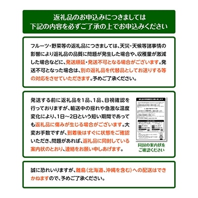 小粒サイズ 温州みかん  2