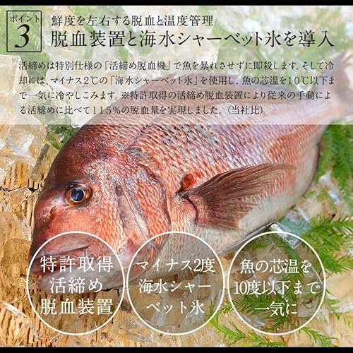 まだい 2