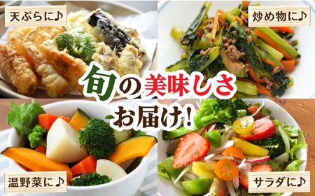 野菜定期便 フルーツ きのこセット 15品目以上 3