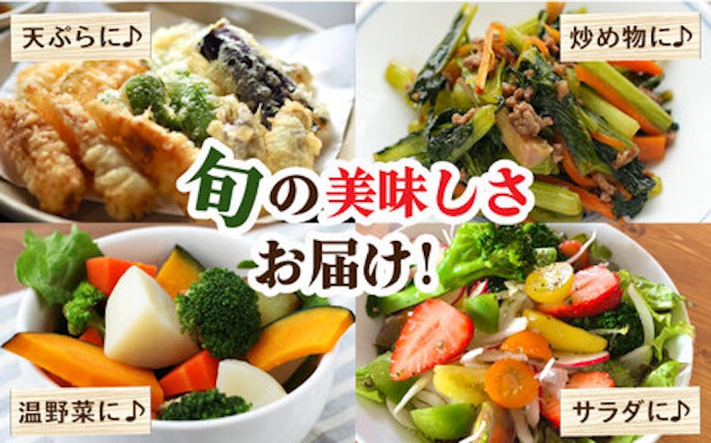 野菜定期便 フルーツ きのこセット 15品目以上 3