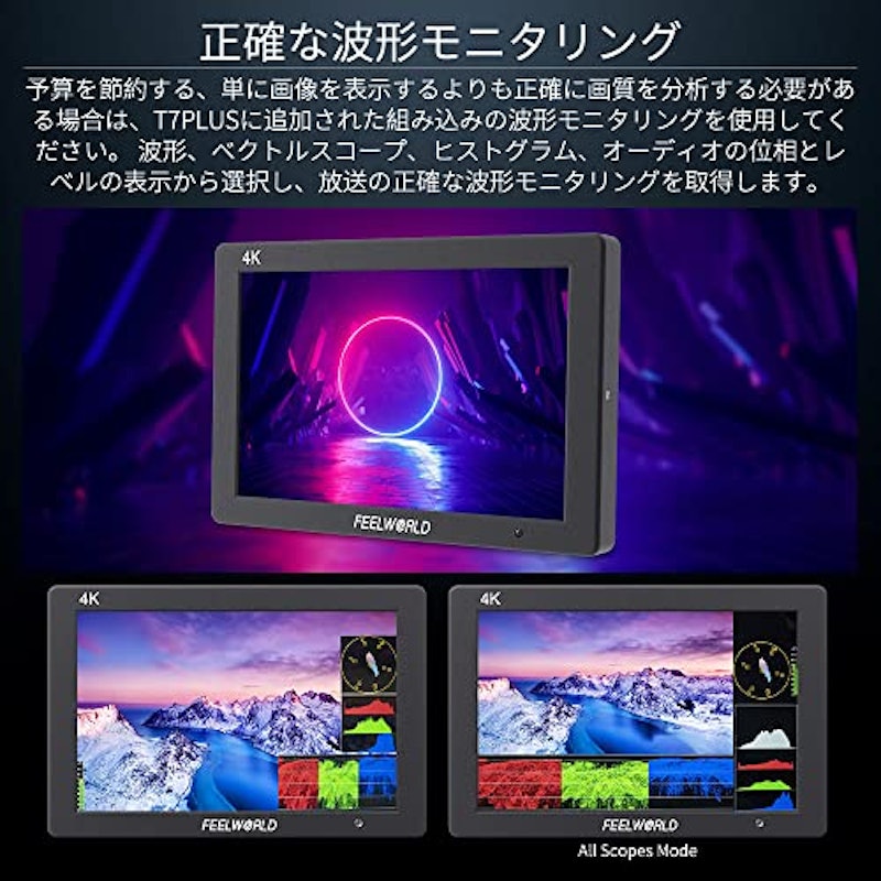 フィールドモニター 4