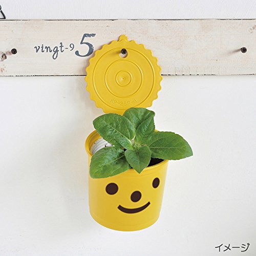 21年 ハーブ初心者向け栽培キットのおすすめ人気ランキング10選 Mybest