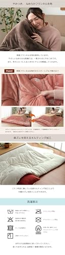 こたつ 2点セット 3