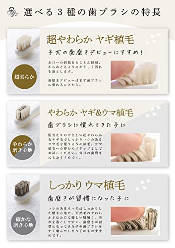 柔らかい天然毛歯ブラシ 6