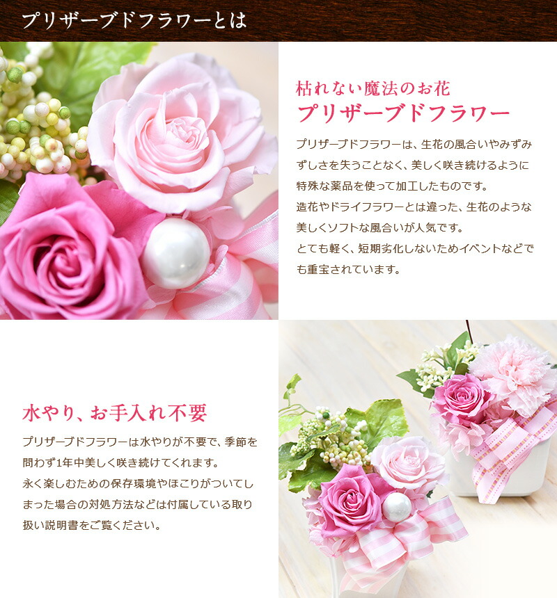 ぴぃ様 4.本物花 プリザーブドフラワー ドライフラワー