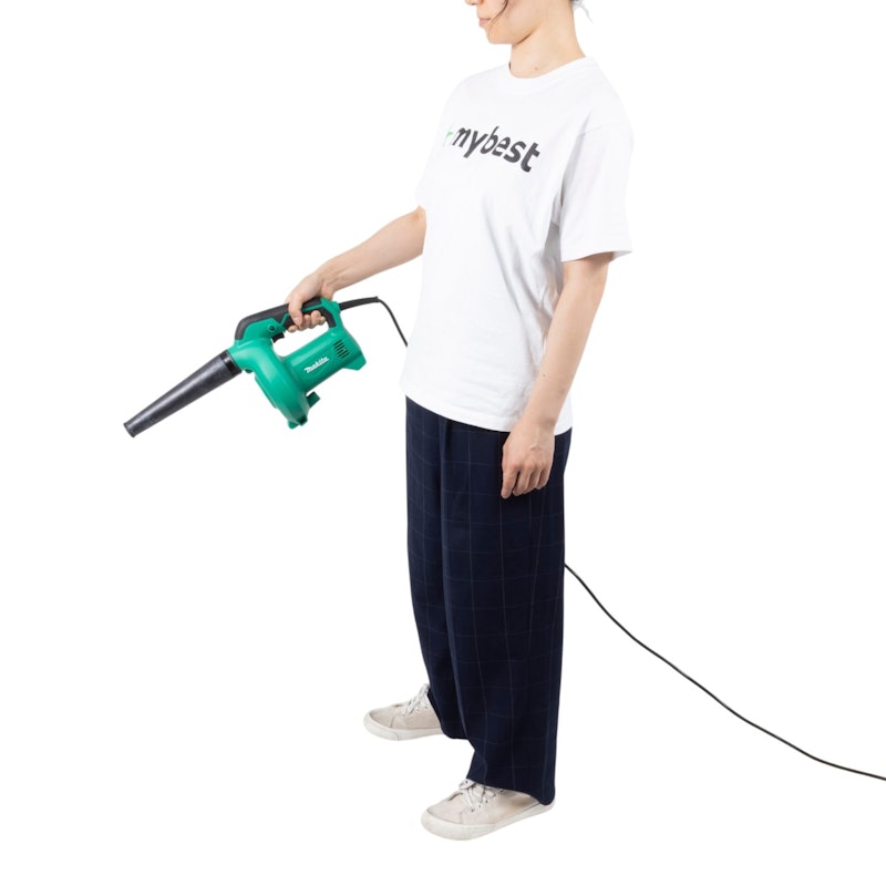 ブロワ 5