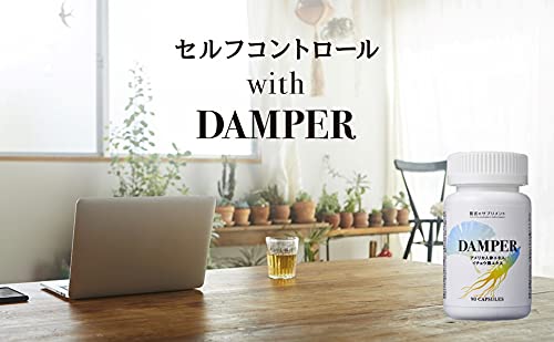 DAMPER 2