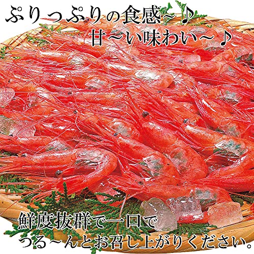 刺身用 甘えび 2