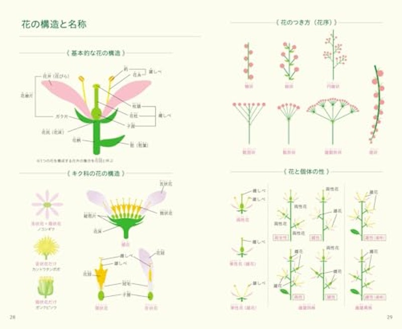 見わけがすぐつく花図鑑 3