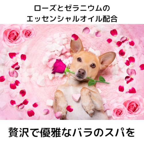 Rose スプレー 4