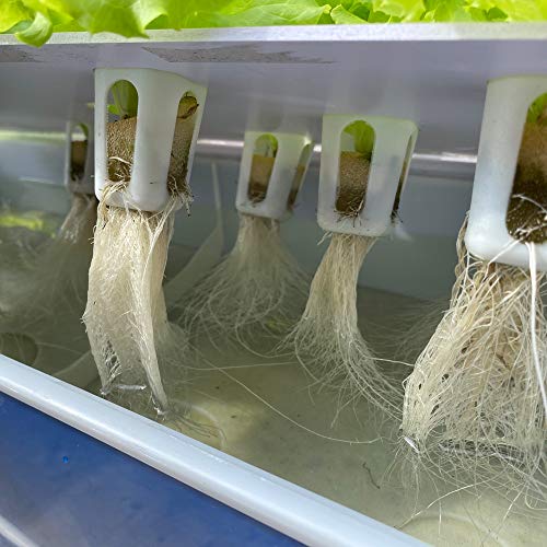 水耕栽培キット 専用ポンプ付き 4