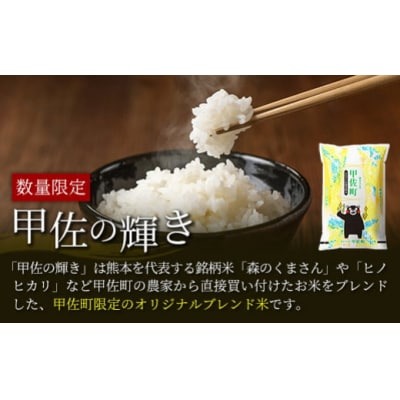 無洗米 定期便 2