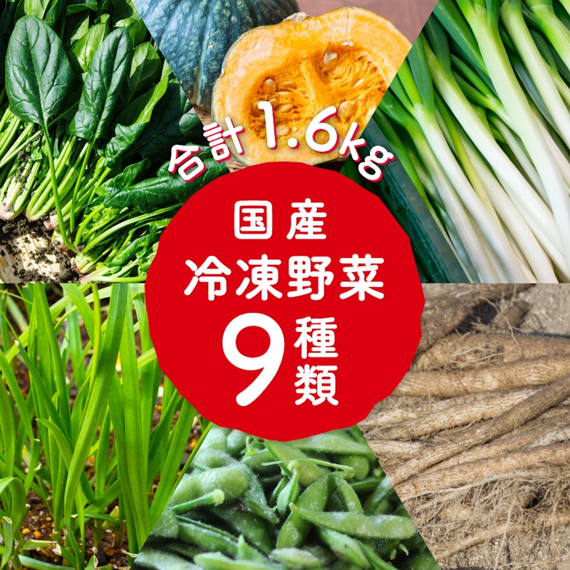 冷凍野菜 国産 9品 詰め合わせ 1