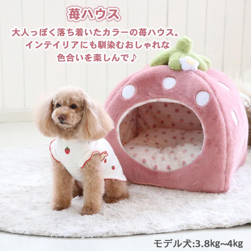 くすみ苺 ハウス 2