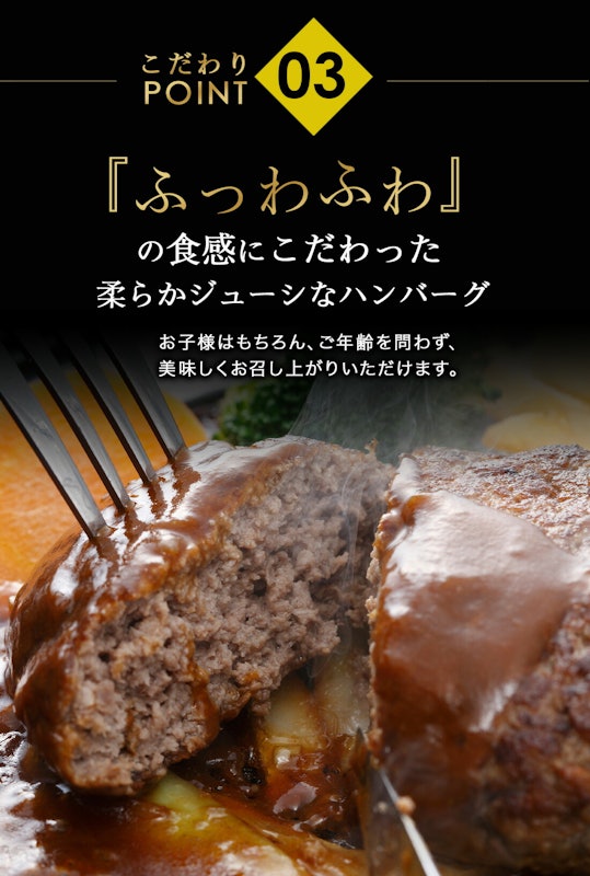 デミソース ハンバーグ 5