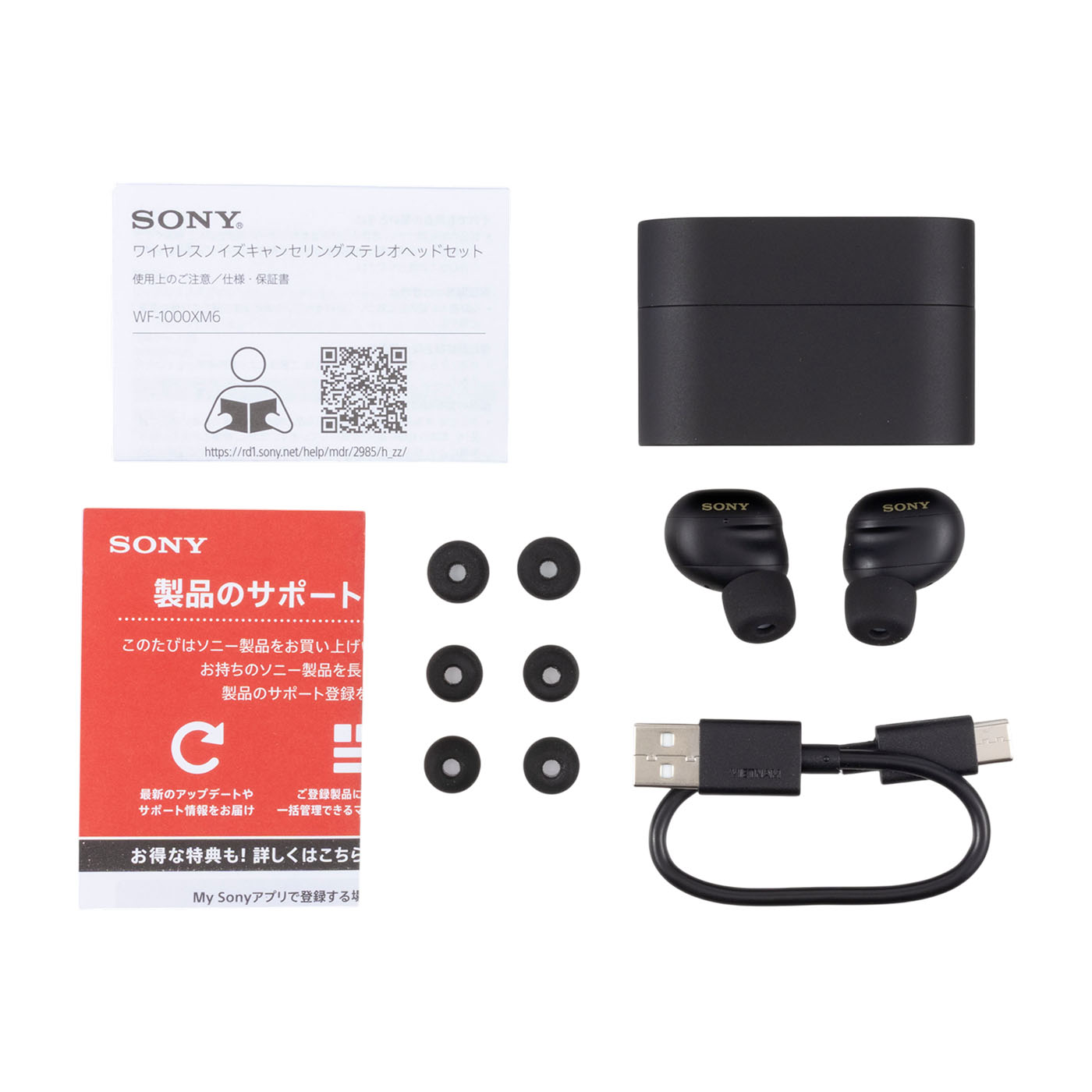 ソニー SONY WF-1000XM6を検証レビュー！完全ワイヤレスイヤホンの