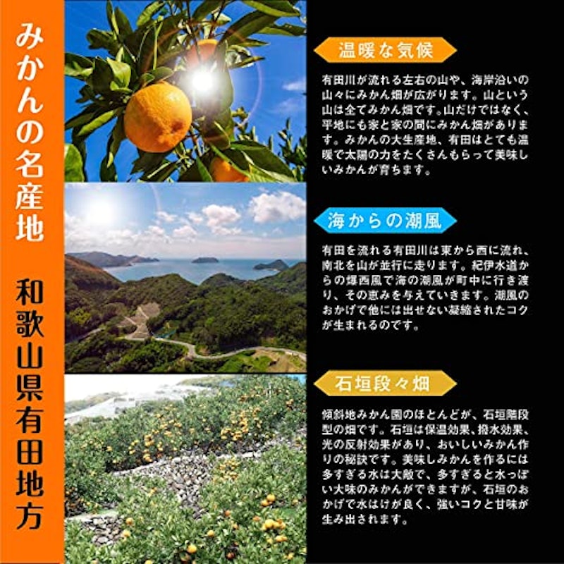 有田みかん 訳あり 5