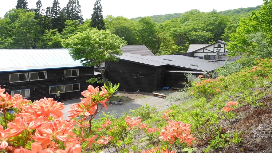 日本三秘湯 谷地温泉 5