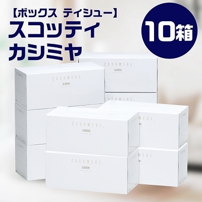 スコッティ カシミヤ 1