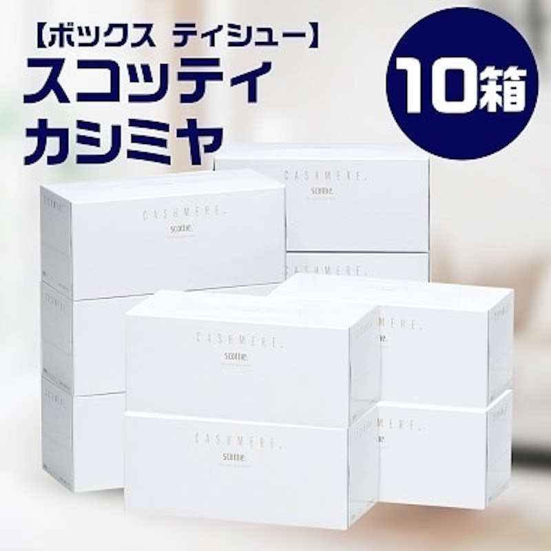 スコッティ カシミヤ 1