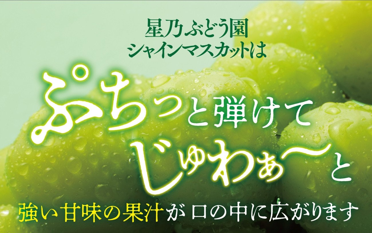 星乃シャインマスカット  2