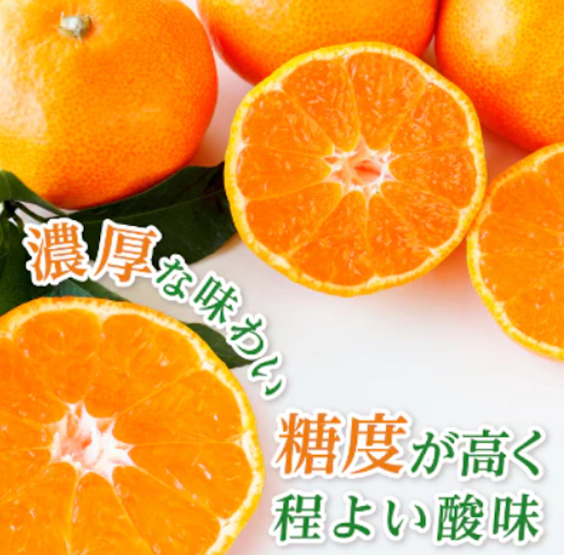 頂みかん 3