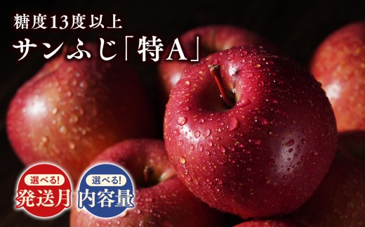 青森県産 サンふじりんご 特A  1