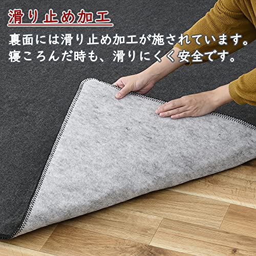 ホットカーペット 5
