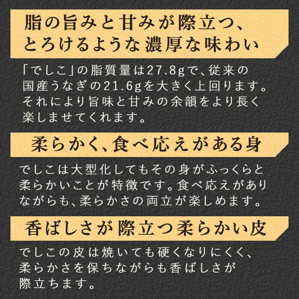 うなぎの蒲焼き 9