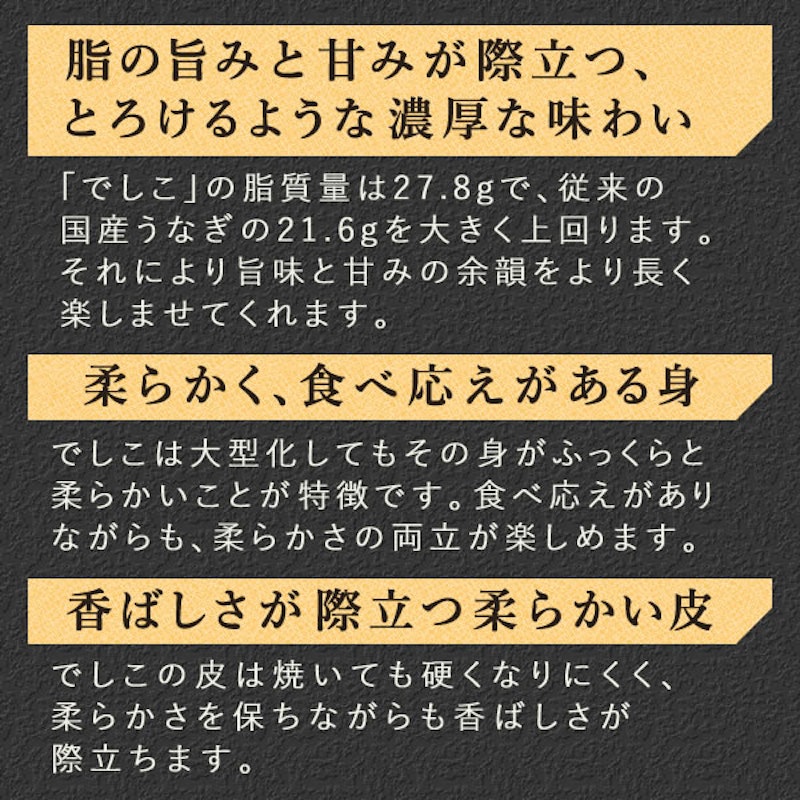 うなぎの蒲焼き 9