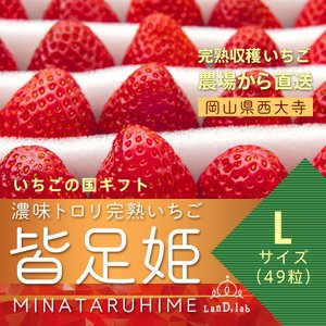 21年 贈答用いちごのおすすめ人気ランキング10選 Mybest