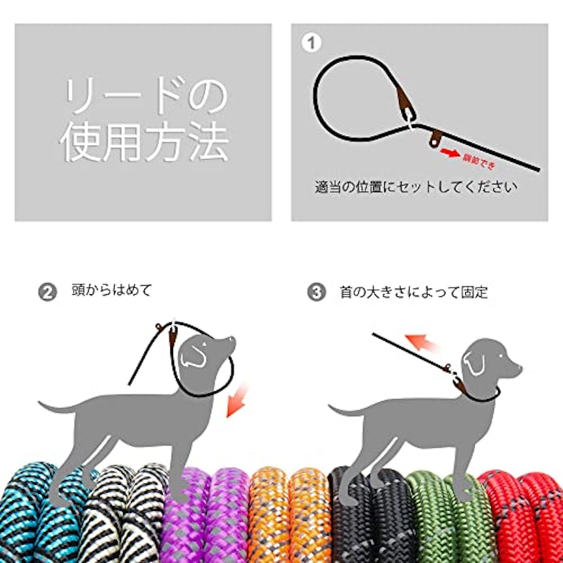犬用リード 2
