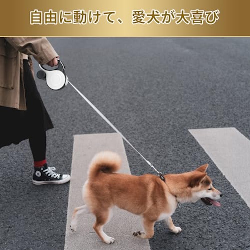 犬用リード 4