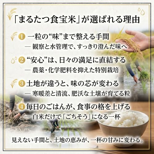 つや姫 3