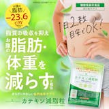 カテキンサプリのおすすめ人気ランキング【2026年8月】 5