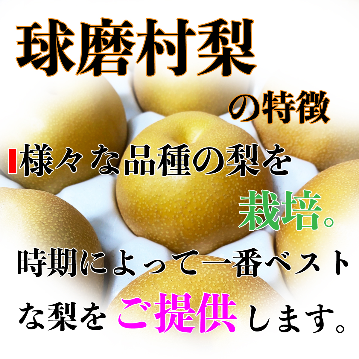 一勝地 梨 3