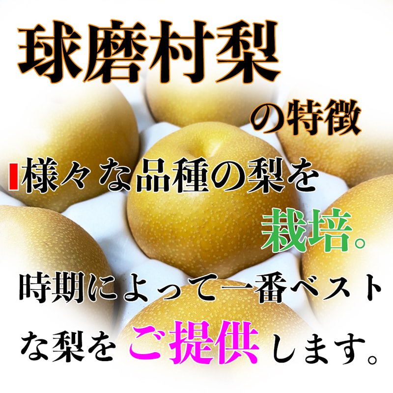 一勝地 梨 3