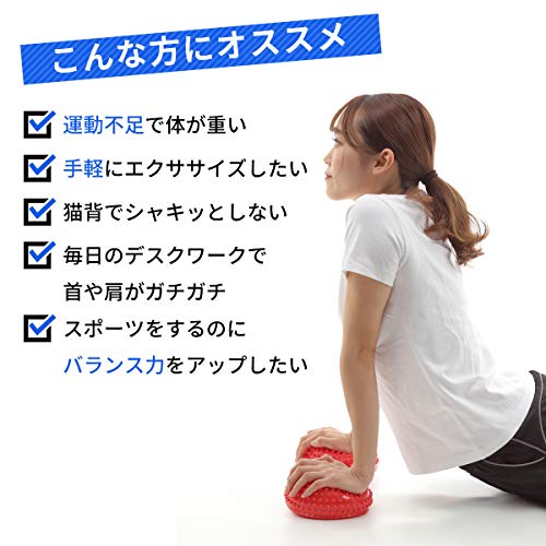 ミニバランスディスク 6
