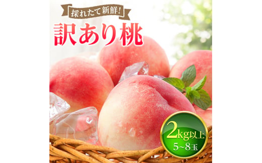 山梨県産桃 訳あり 1