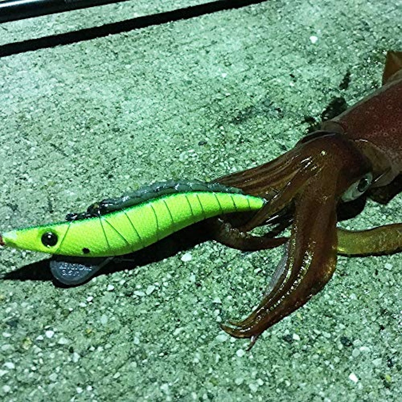 22年 エギのおすすめ人気ランキング選 Mybest 22年 エギのおすすめ人気ランキング選 Mybest