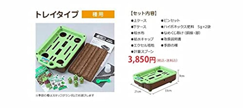 私の畑 6
