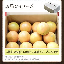 グレープフルーツ ルビー 5