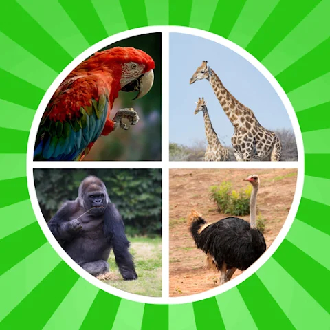 動物の名前を学ぶ 1