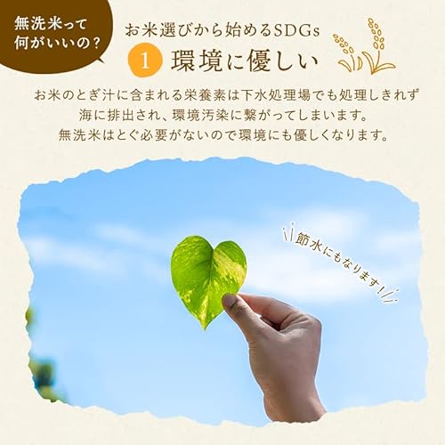 長野県産 ミルキークイーン 3