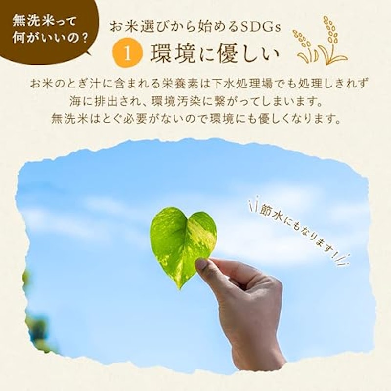 長野県産 ミルキークイーン 3
