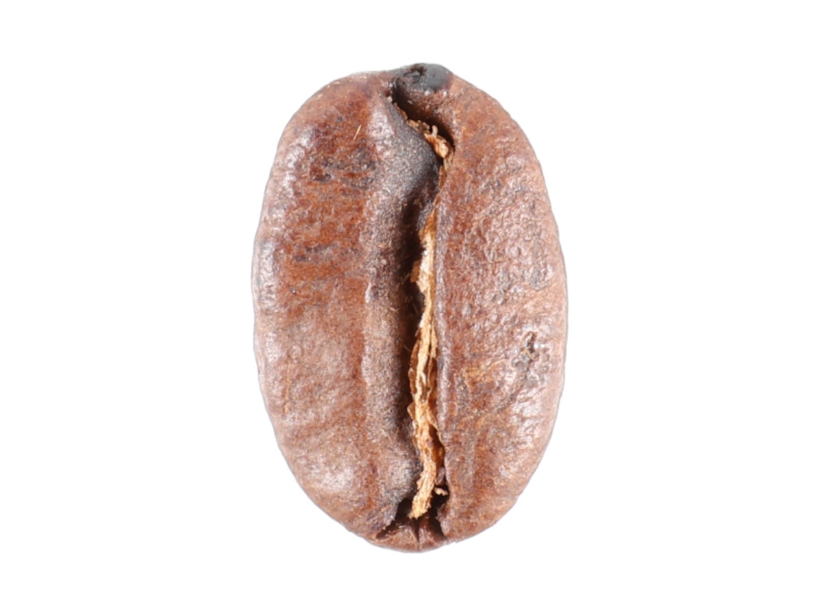 ムセッティ パラディッソ コーヒー豆の口コミ・評判は?実際に試して ムセッティ パラディッソ コーヒー豆の口コミ・評判は?実際に試して